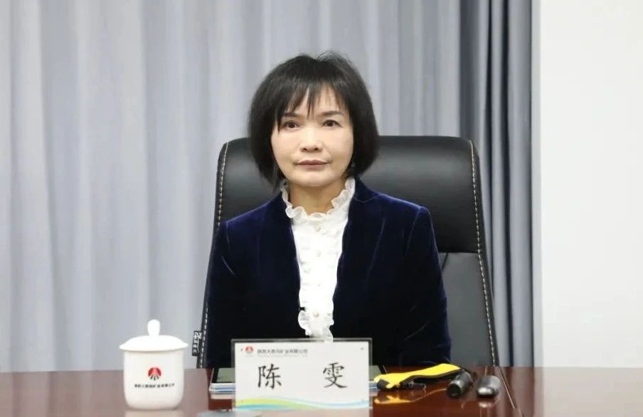 陜鋼集團(tuán)召開大西溝菱鐵礦低成本開發(fā)領(lǐng)導(dǎo)小組會議