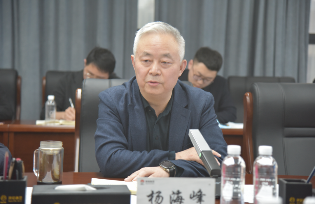 蓄積發(fā)展新動能 擊鼓催征再出發(fā)——陜鋼集團召開鎂鐵釩鈦耦合發(fā)展領(lǐng)導(dǎo)小組第二次工作會