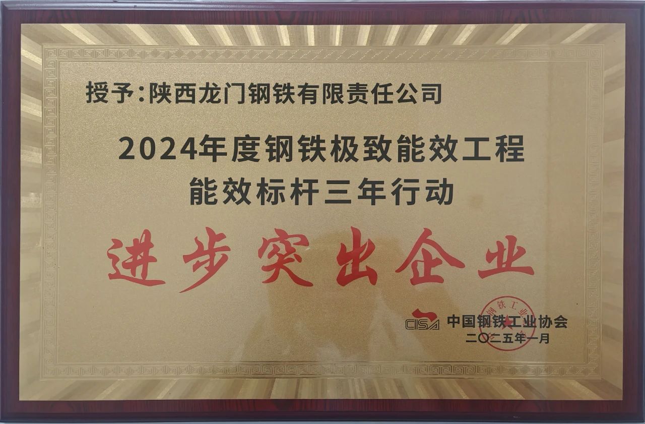 喜訊！龍鋼公司榮獲2024年度鋼鐵極致能效工程能效 標(biāo)桿三年行動(dòng)“進(jìn)步突出企業(yè)”