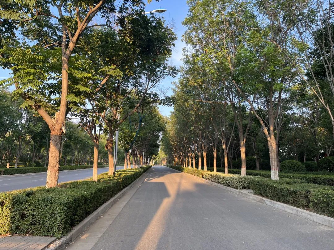 秋日里的慢時光 秋日里的慢時光