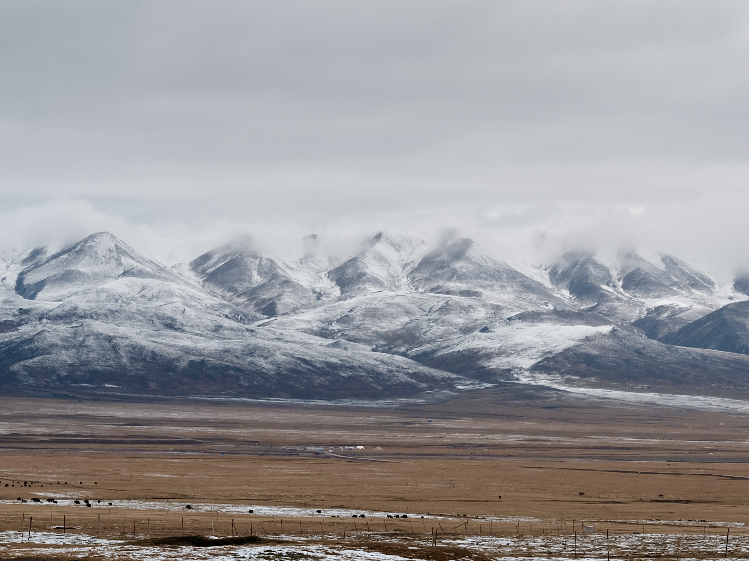 風(fēng)從祁連來(lái) 風(fēng)從祁連來(lái)